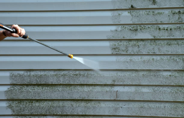 Best Mold Cleaning Services  in Coudersport, PA
