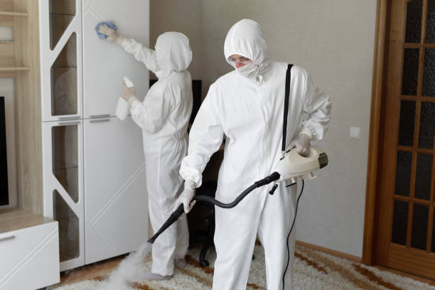 Best Mold Testing and Removal  in Coudersport, PA