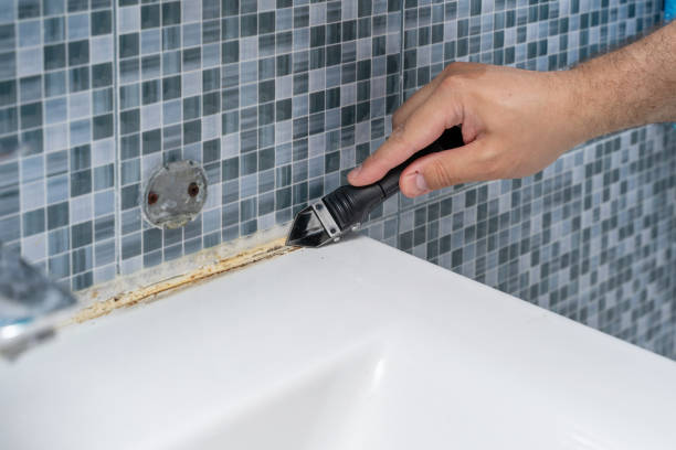 Reliable Coudersport, PA Mold Removal Solutions